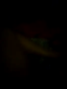 Snapshot of jonzzvergs chatting on February 9, 2025, 12:30 pm jonzzvergs online show from February 9, 2025, 12:30 pm