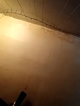 Snapshot of birdg chatting on October 27, 2025, 7:15 pm birdg online show from October 27, 2025, 7:15 pm