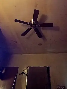 birdg online show from November 13, 2025, 6:12 pm