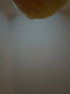 Bleueyez007 online show from February 10, 2026, 4:28 pm