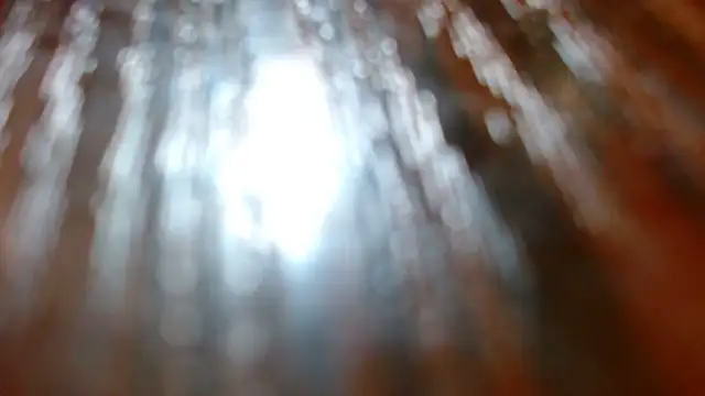 moonmaaiden online show from March 13, 2026, 6:51 am