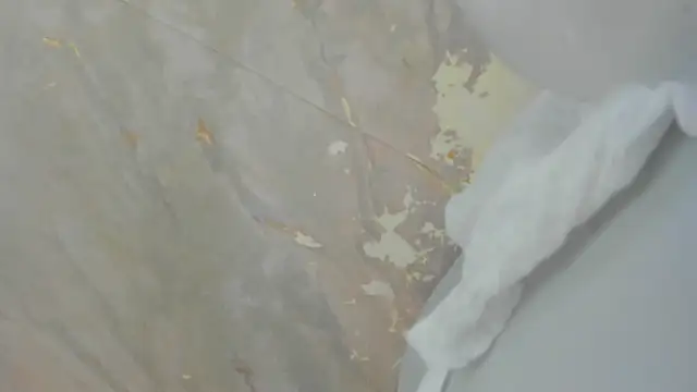 Snapshot of Lianngrace chatting on March 4, 2026, 2:03 pm Lianngrace online show from March 4, 2026, 2:03 pm