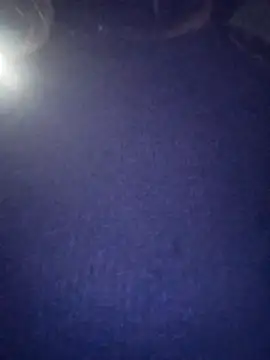 PPP 25 online show from November 4, 2025, 7:50 pm