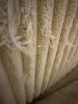 tiago499 online show from February 7, 2026, 5:10 pm