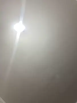 yasemintas online show from November 12, 2025, 7:51 pm