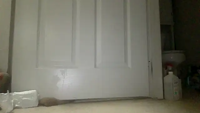 icedcoffeex online show from April 16, 2026, 9:39 pm