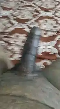 desi pb02 online show from September 9, 2025, 3:21 pm