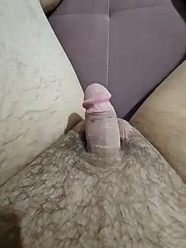 skiciyunis online show from October 3, 2025, 11:56 am