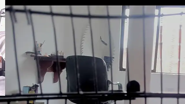 afroditacute15 online show from September 20, 2025, 3:39 pm