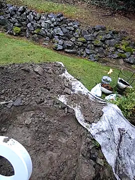 KingSlim56 online show from November 15, 2025, 8:13 pm