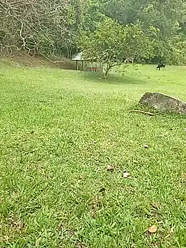 Mycansonhot online show from October 23, 2025, 4:38 pm