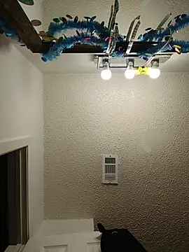 Snapshot of HTXBELLE chatting on February 23, 2026, 10:10 pm HTXBELLE online show from February 23, 2026, 10:10 pm