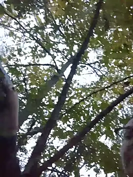 HTXBELLE online show from November 29, 2025, 11:05 pm