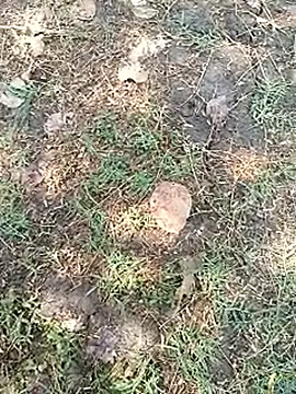 Snapshot of bairobunde chatting on April 5, 2026, 8:10 am bairobunde online show from April 5, 2026, 8:10 am