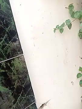 Snapshot of bairobunde chatting on April 17, 2026, 8:17 am bairobunde online show from April 17, 2026, 8:17 am