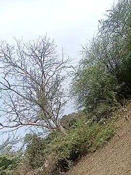 Snapshot of bairobunde chatting on February 2, 2026, 9:52 am bairobunde online show from February 2, 2026, 9:52 am