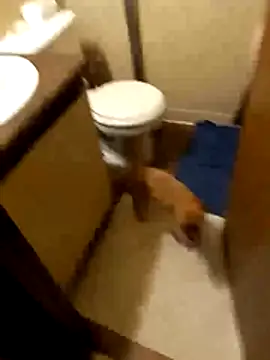 taterae online show from October 19, 2025, 5:21 am