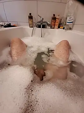 Snapshot of Jerome2312 chatting on April 10, 2026, 12:45 pm Jerome2312 online show from April 10, 2026, 12:45 pm