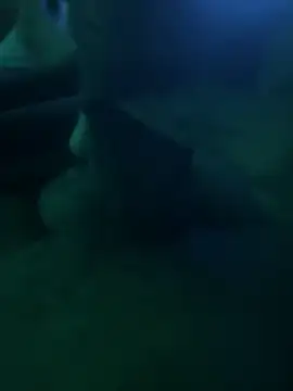 Liam Canales online show from April 21, 2026, 4:52 am