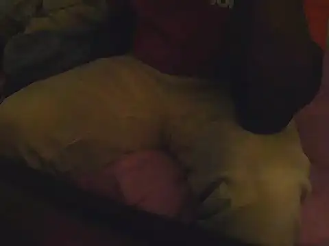 Fuckmehardandcloudy online show from March 21, 2026, 8:46 pm