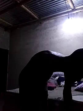 Snapshot of lilpip chatting on February 12, 2026, 7:13 pm lilpip online show from February 12, 2026, 7:13 pm