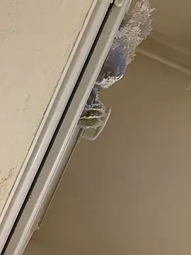 daniel21p online show from March 10, 2025, 6:34 pm