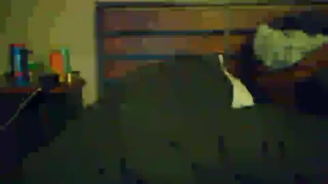 boarder3494 online show from November 22, 2025, 5:39 am