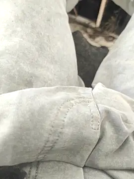 bbclip online show from November 2, 2025, 8:19 am