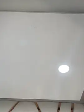 Madisson-Rivas online show from February 24, 2026, 8:31 pm