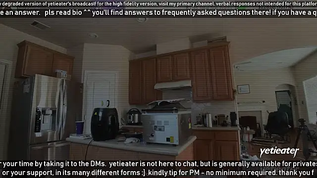 Snapshot of yetieater chatting on February 4, 2025, 4:39 pm yetieater online show from February 4, 2025, 4:39 pm