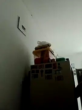 Ehilyn online show from November 4, 2025, 8:56 pm