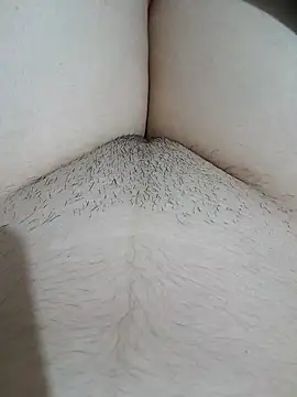 yakot7 online show from November 2, 2025, 10:48 pm