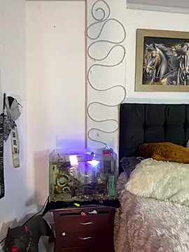 CRAZY-BOY99 online show from December 15, 2025, 11:38 am