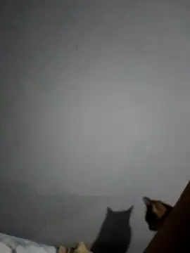 Sandra42 online show from September 15, 2025, 11:16 pm