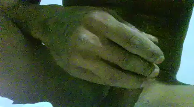 javier0990 online show from March 14, 2025, 8:32 am