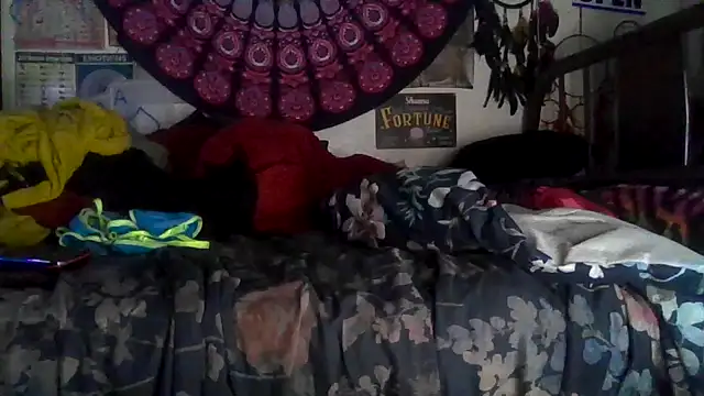 GardeniaFields online show from February 10, 2026, 8:46 am