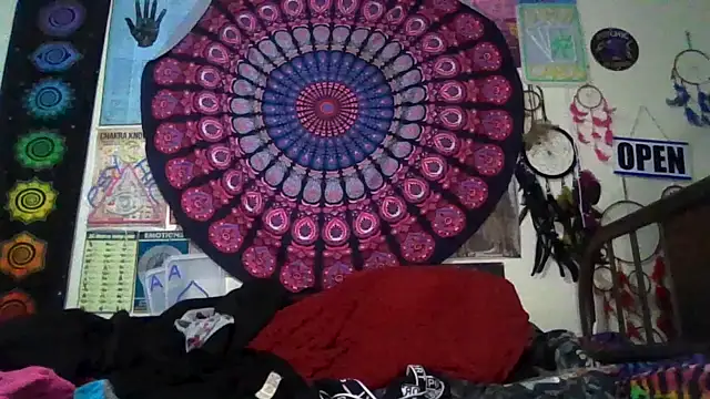 GardeniaFields online show from February 22, 2026, 8:28 am