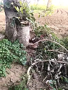 Snapshot of JAZZYS8 chatting on October 16, 2025, 11:40 am JAZZYS8 online show from October 16, 2025, 11:40 am