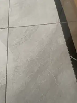 nole china7 online show from February 5, 2026, 12:17 am