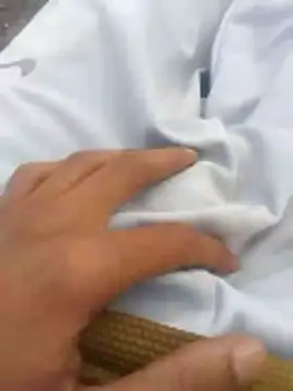 Snapshot of tiibcstuj chatting on February 14, 2026, 12:16 pm tiibcstuj online show from February 14, 2026, 12:16 pm