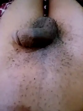 horny1131 online show from April 11, 2026, 5:48 am