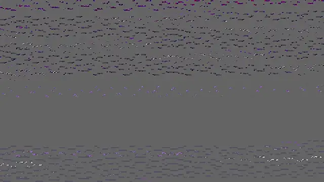 honeybeetest online show from March 12, 2026, 4:00 pm