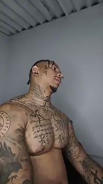 David tatto1 online show from June 3, 2026, 3:18 am
