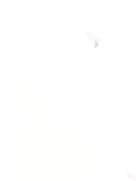 Fox Roxxan online show from December 2, 2025, 3:07 am