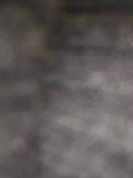 Snapshot of clarabell4 chatting on February 24, 2026, 8:59 am clarabell4 online show from February 24, 2026, 8:59 am