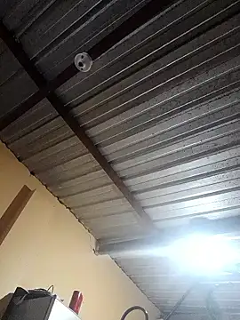 Ortiz3404 online show from November 12, 2025, 4:27 am