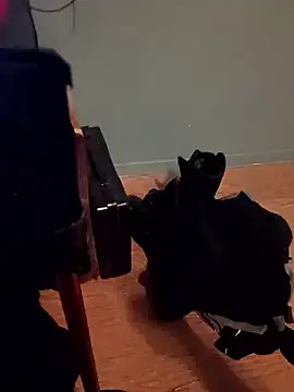 Crossedsissy online show from January 7, 2026, 12:37 am