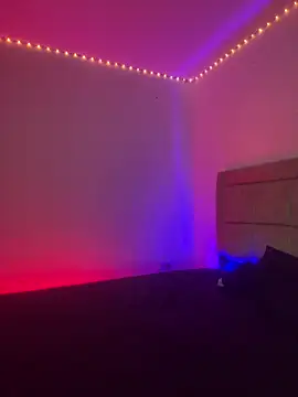 EmilyNoir1 online show from February 8, 2026, 2:15 pm