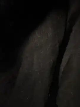 pikuslordpll online show from December 23, 2025, 8:13 am