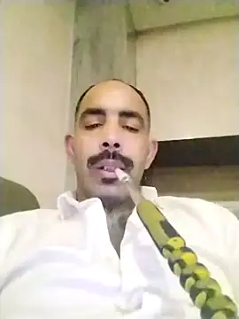 salimbasha online show from November 29, 2025, 7:25 pm